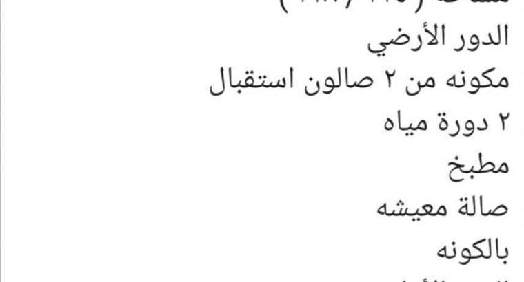 فيلتين دوبلكس