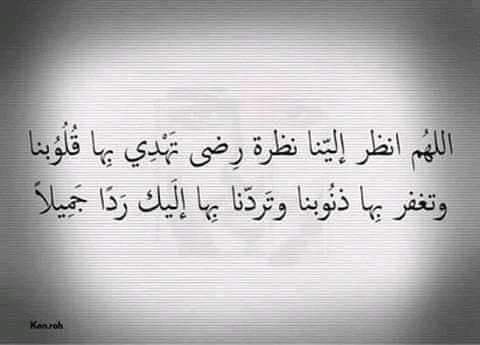 saadhallouma4