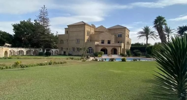 قصر بثمن الارض