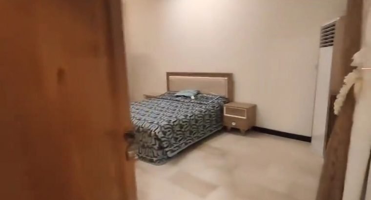 شقه للأيجر