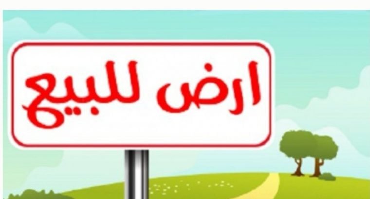 ارض صبياء سكنيه بصك للبيع صبيا