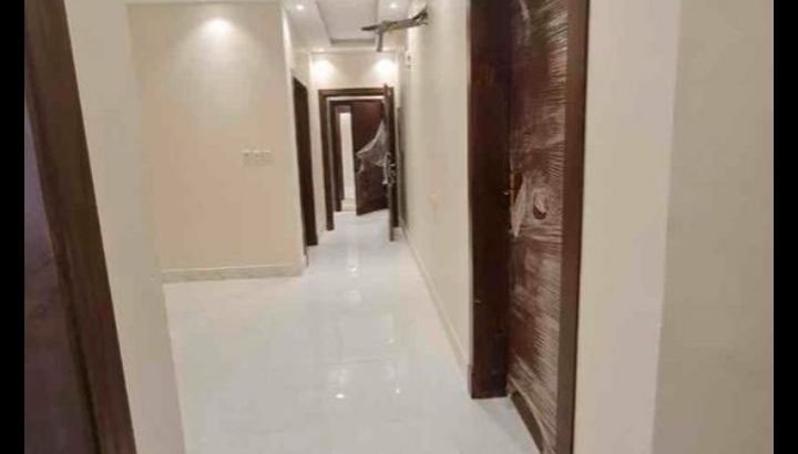 شقه لايجار