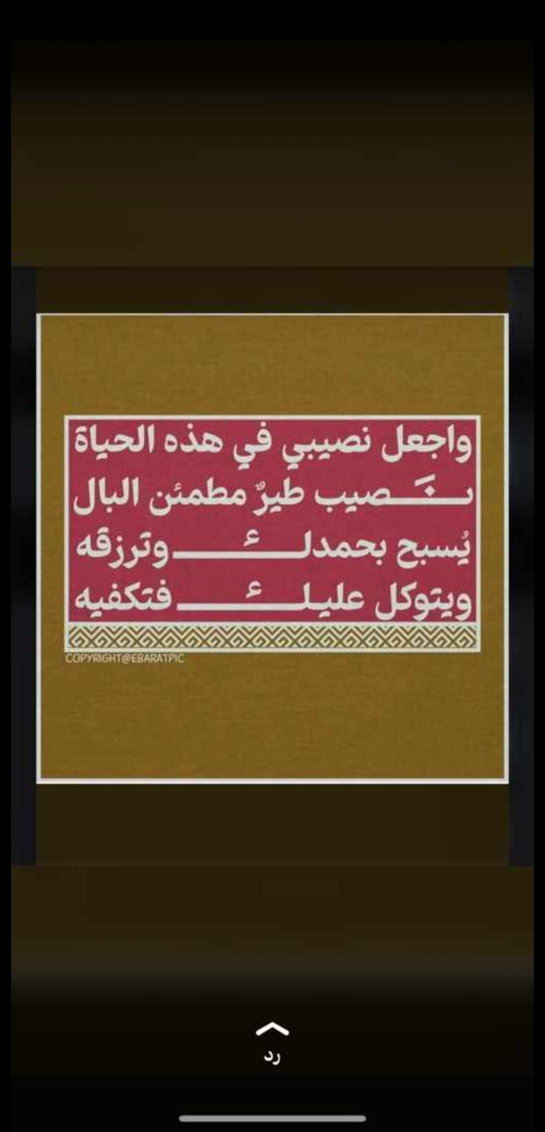 ابو ثامر