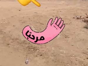 أرض لقطة للبيع بحي الملك فهد بمحافظة الافلاج