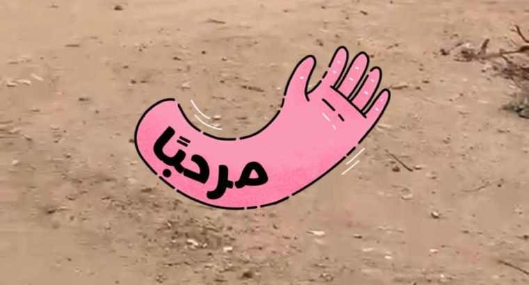 أرض لقطة للبيع بحي الملك فهد بمحافظة الافلاج