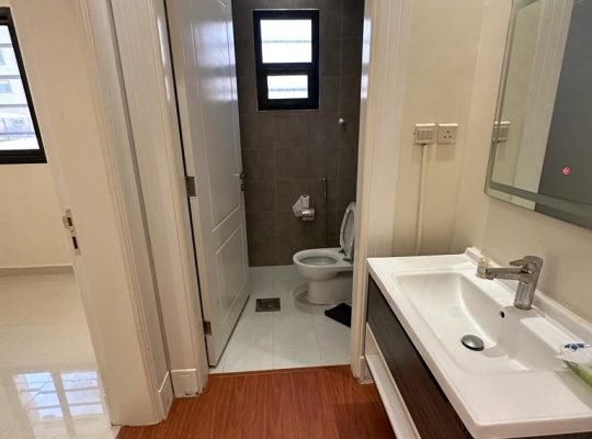 شقه للايجار بحي الملقا الرياض