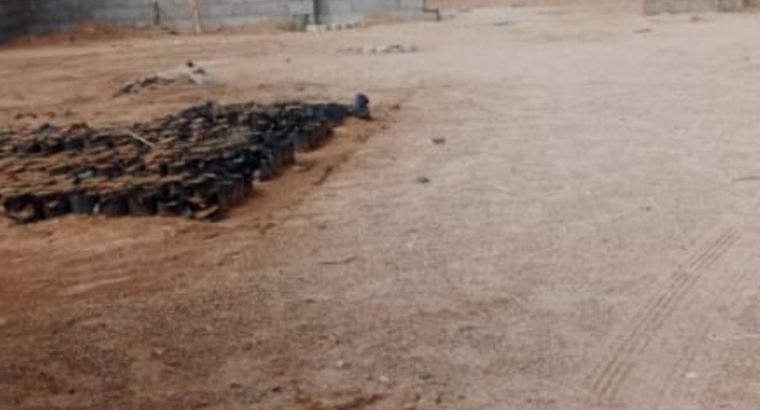 جوهره العروس شمال جده