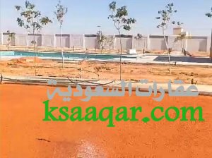 ثيل طبيعي تنسيق حدائق