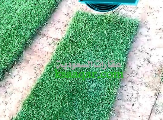 ثيل طبيعي تنسيق حدائق