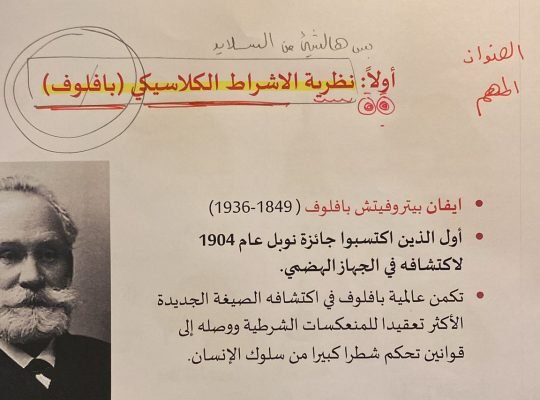 محافظ عقارية إستثمارية جدة