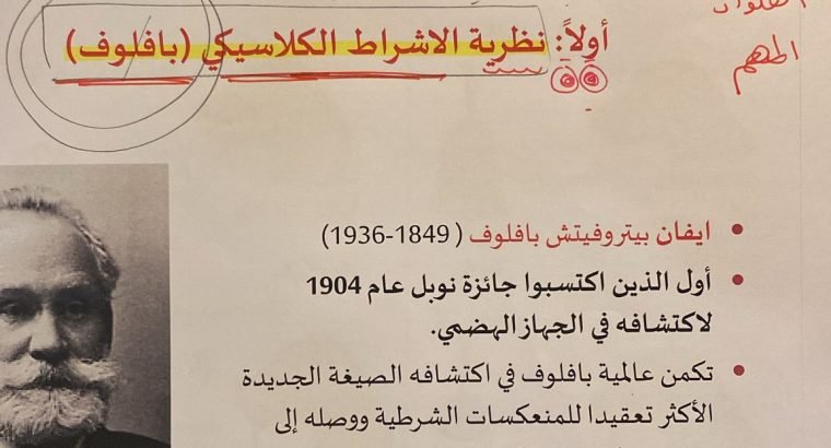 محافظ عقارية إستثمارية جدة