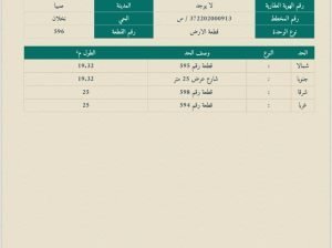 فله عظم نخلان صبياء مخطط صبيا عماره بيت للبيع