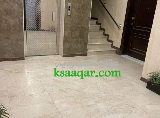 للايجار شقة جديده ف ابحر الشماليه حي الصواري