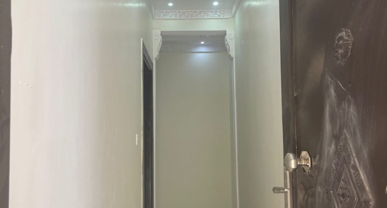 شقق للايجار السنوي المنوسيه