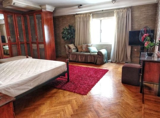 شقه فخمه للايجار اليومي علي النيل بالقاهره