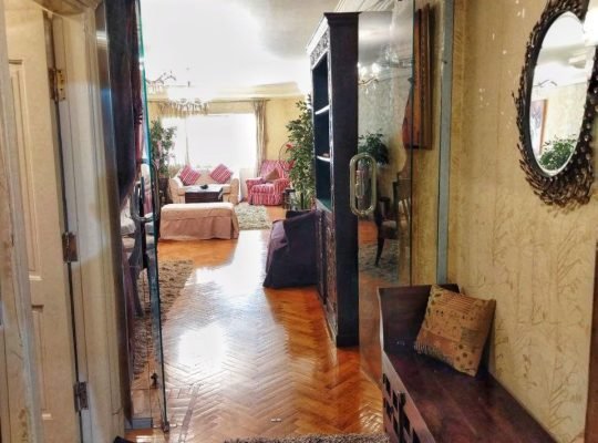 شقه فخمه للايجار اليومي علي النيل بالقاهره