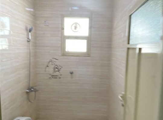 شقة للايجار