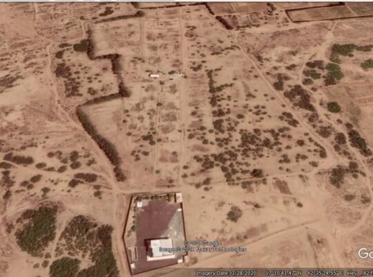 لبيع ارض زراعية بمحافظة صبيا مع فيلا خاصة بها وحضيرة مواشي