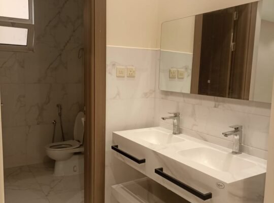 شقه للايجار الصحافه