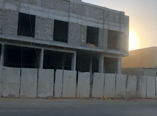 النرجس المملكة السعودية