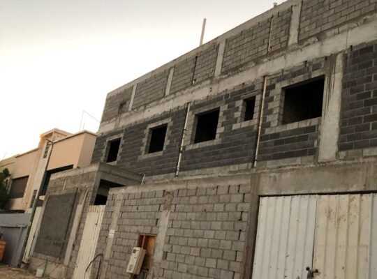 النرجس المملكة السعودية