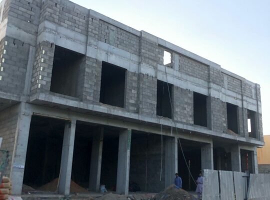 النرجس المملكة السعودية