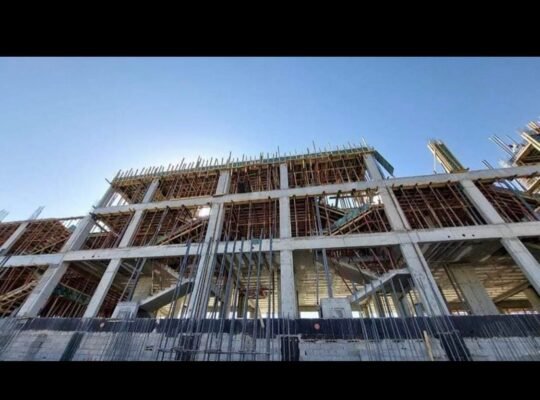 النرجس المملكة السعودية