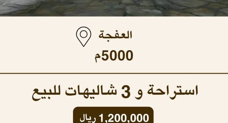 استراحة للبيع في العفجة – نجدية