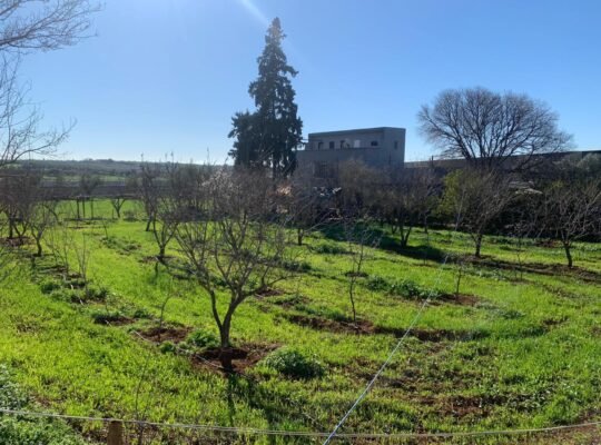 أرض زراعية مكونة من منزل كبير دو طابقين