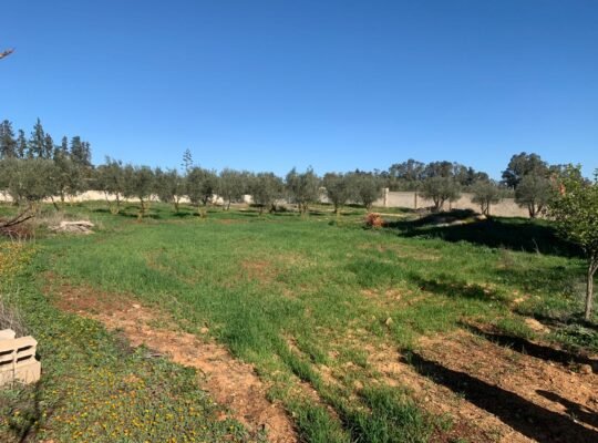 أرض زراعية مكونة من منزل كبير دو طابقين