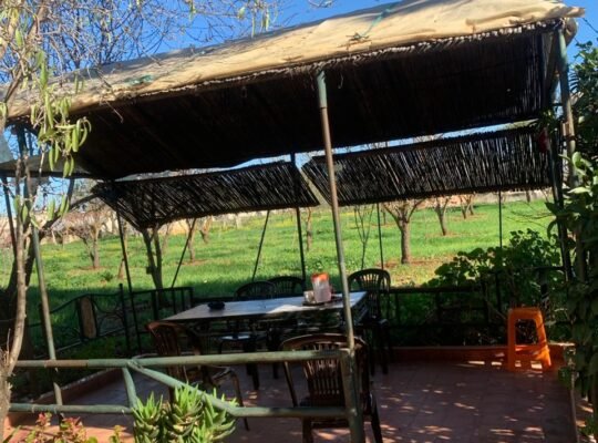 أرض زراعية مكونة من منزل كبير دو طابقين