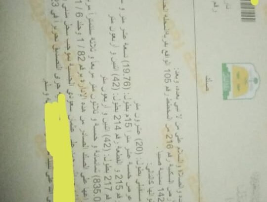 بيش المحلة ارض للبيع في المحلة