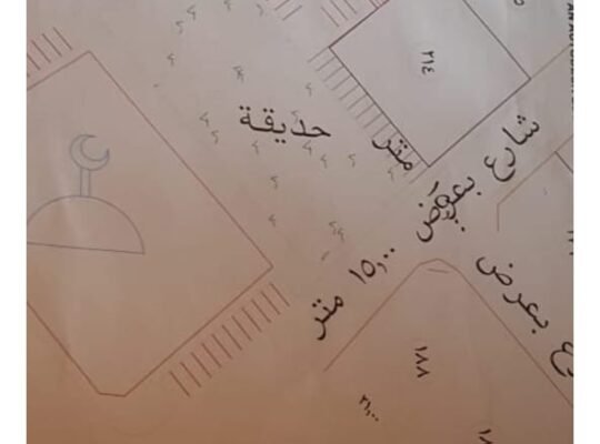 بيش المحلة ارض للبيع في المحلة