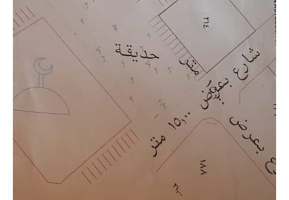 بيش المحلة ارض للبيع في المحلة
