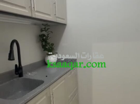 استديو مكون من غرفة ومطبخ جانبي ودورة مياة