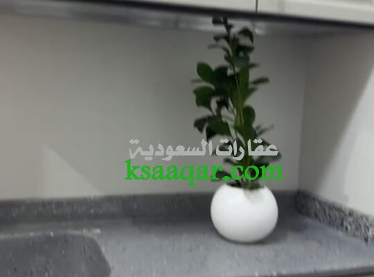 استديو مكون من غرفة ومطبخ جانبي ودورة مياة