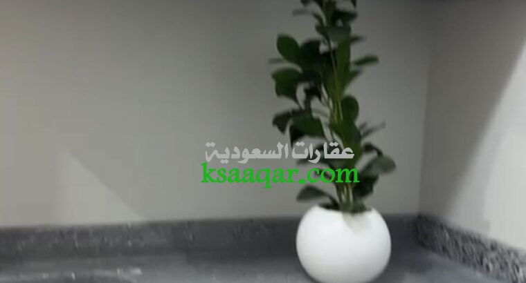 استديو مكون من غرفة ومطبخ جانبي ودورة مياة