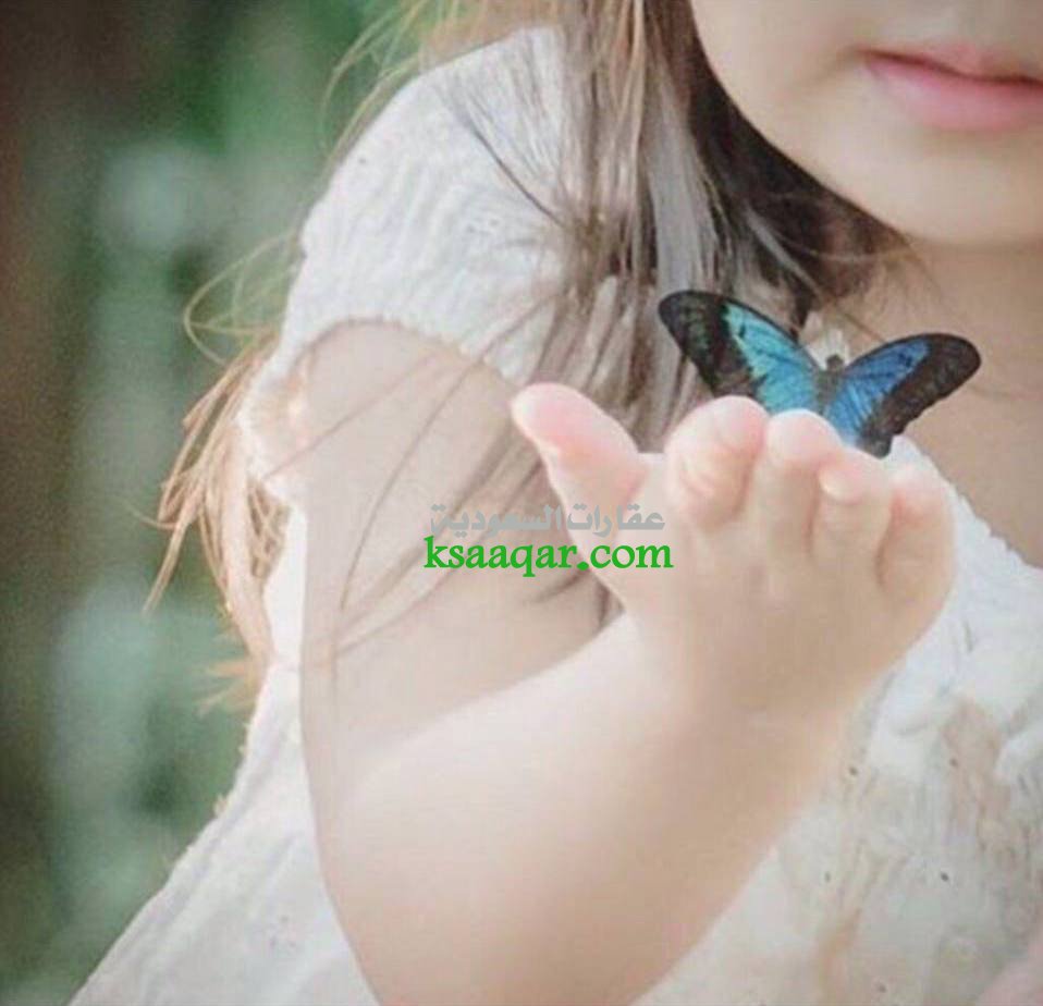 أم عبدالعزيز العتيبي