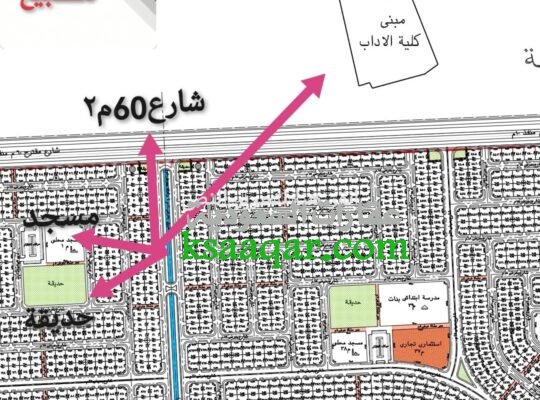 ارض صبيا للبيع بصك نخلان موقع ممتاز