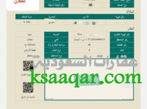 ارض صبيا للبيع بصك نخلان موقع ممتاز