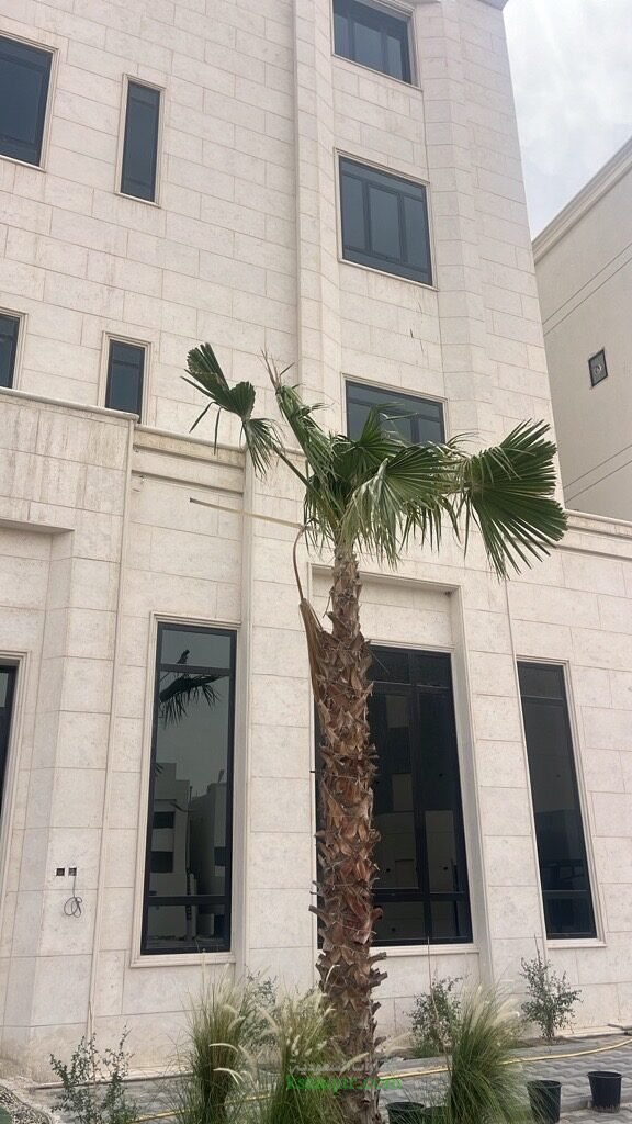 عبدالله